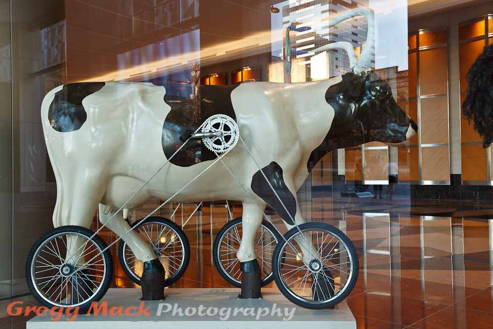 20110903_CowParade_Austin_042