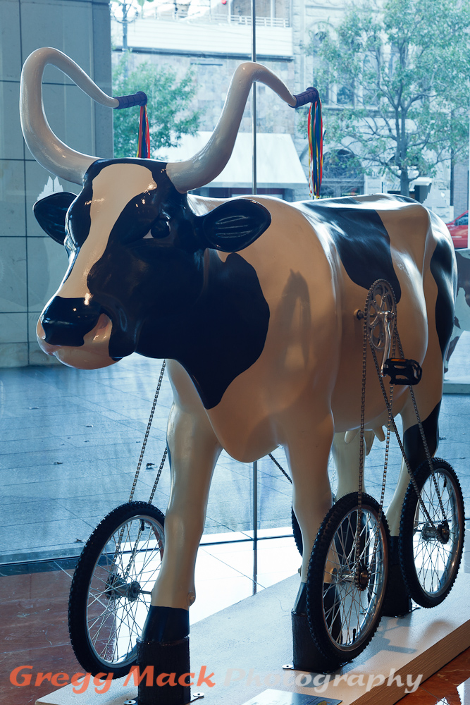 20110910_CowParade_Austin_026