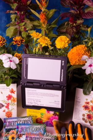 20120426_A_Gardening_Shot_001