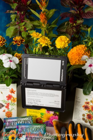 20120426_A_Gardening_Shot_002