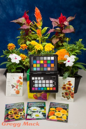 20120426_A_Gardening_Shot_031